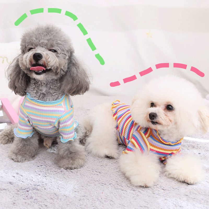 Rainbow Undercoat Clothes for Small Dogs & Cats – Colorful Pet Outfit
