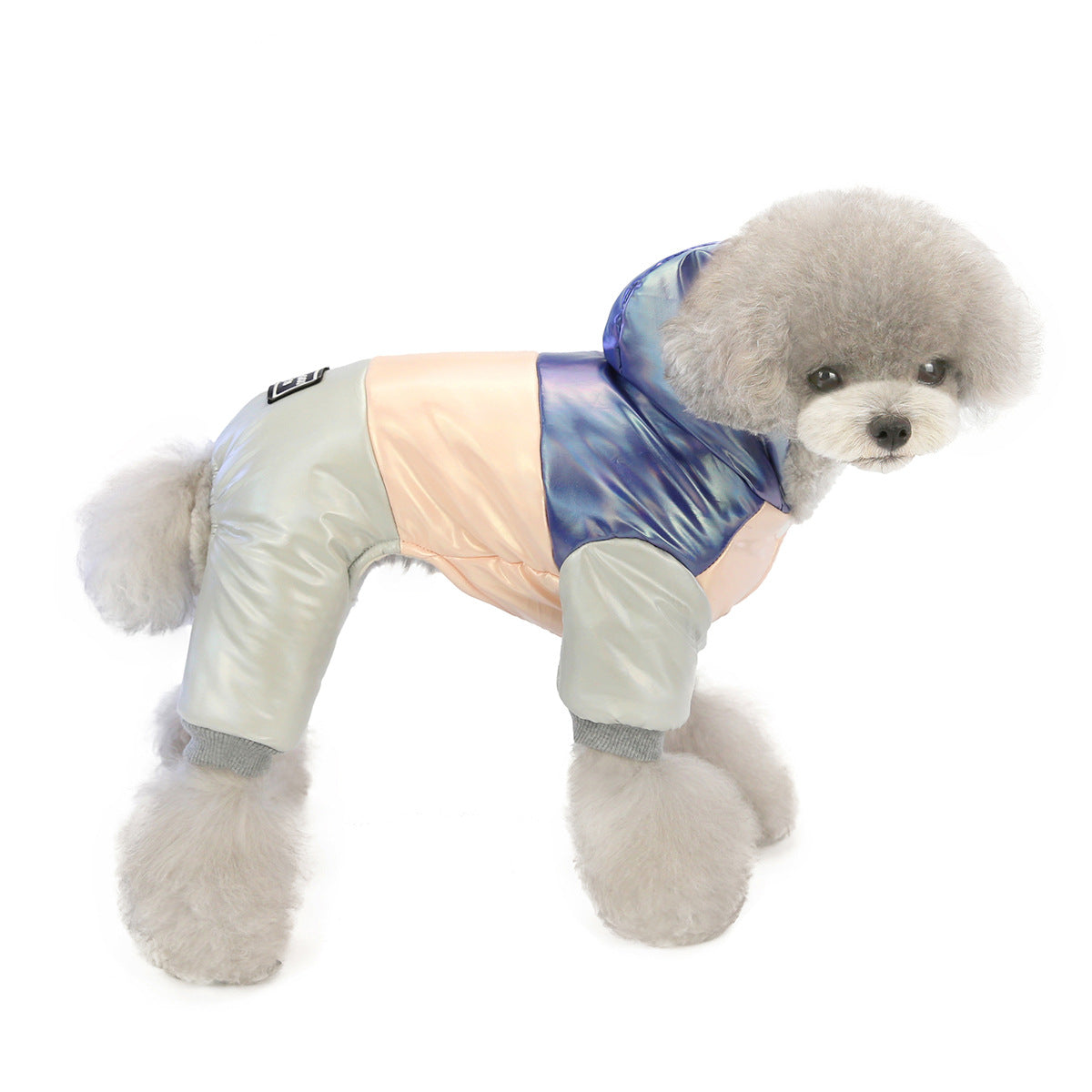 Fashion Winter Dog Clothes – Stylish New Season Pet Outfit