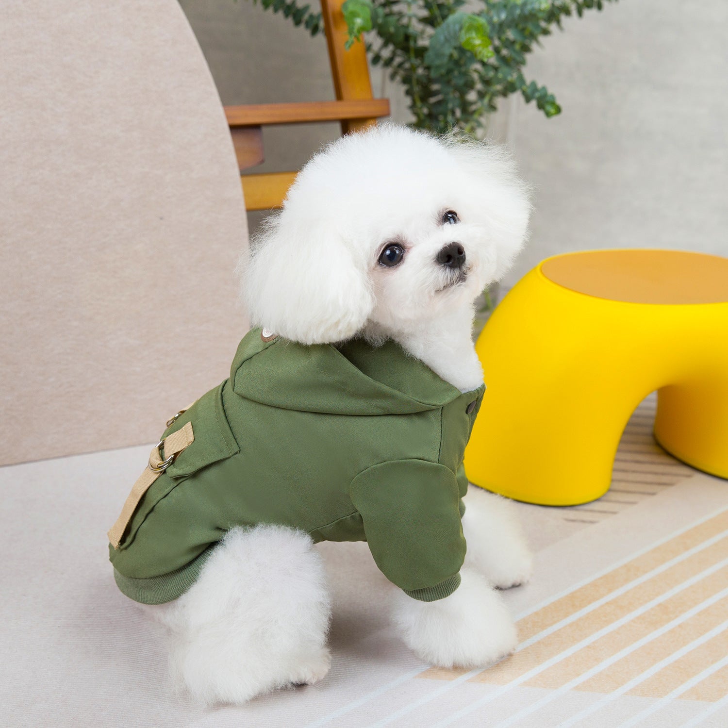 Cotton Sweater Pet Clothes for Dogs & Cats – Cool Two-Legged Style