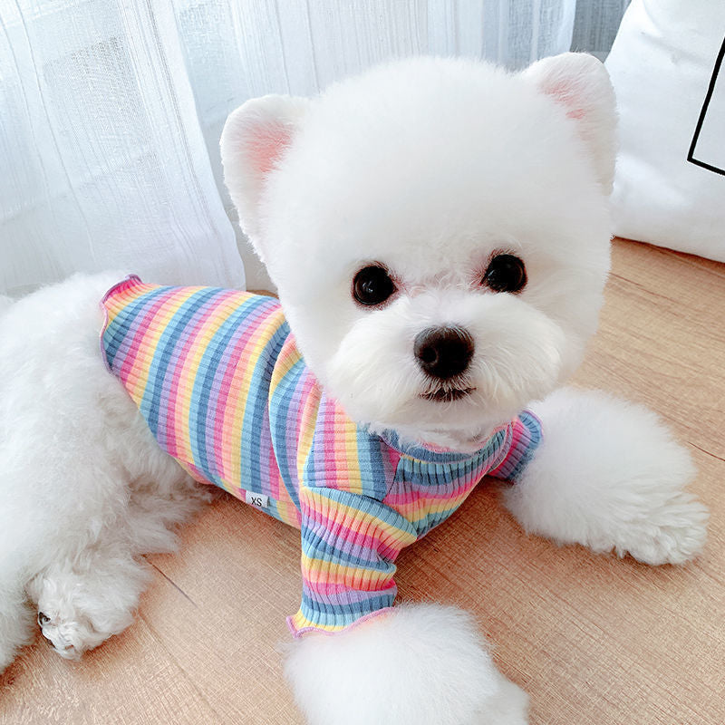 Rainbow Undercoat Clothes for Small Dogs & Cats – Colorful Pet Outfit