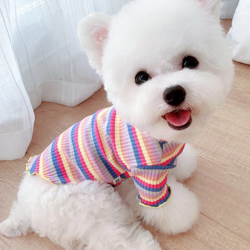 Rainbow Undercoat Clothes for Small Dogs & Cats – Colorful Pet Outfit