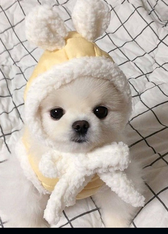 Warm Winter Pet Clothes for Dogs & Cats – Cozy Cold Weather Outfit