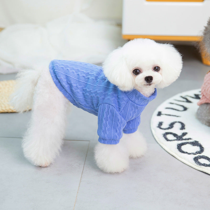 Teddy Small Dog Clothes – Cute New Pet Clothing for Small Breeds