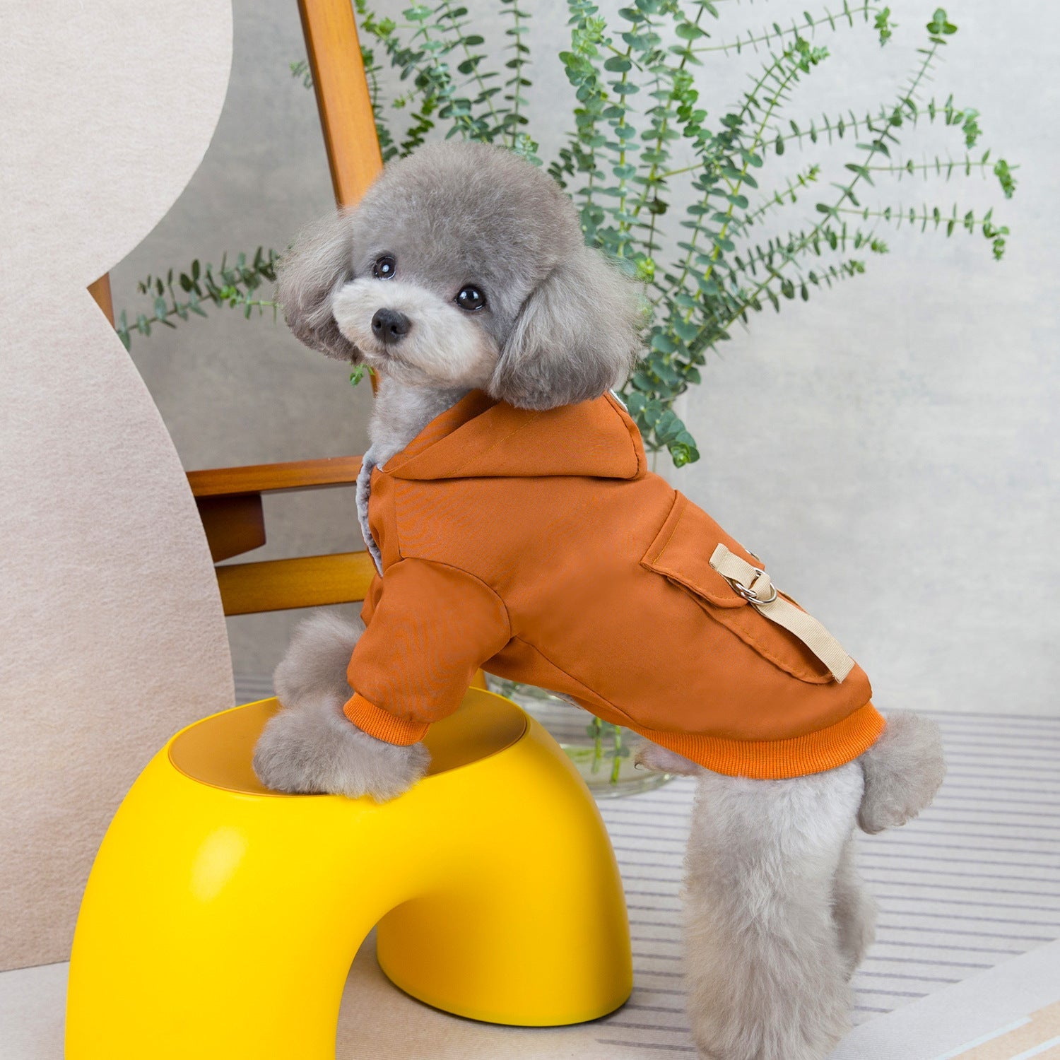 Cotton Sweater Pet Clothes for Dogs & Cats – Cool Two-Legged Style