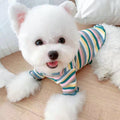 Rainbow Undercoat Clothes for Small Dogs & Cats – Colorful Pet Outfit