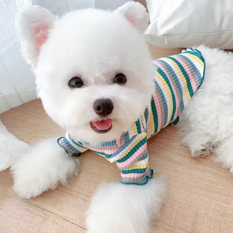 Rainbow Undercoat Clothes for Small Dogs & Cats – Colorful Pet Outfit